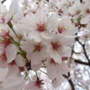 ヒメ日記 2025/04/09 14:11 投稿 ゆきの 性腺熟女100％（デリヘル市場）