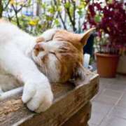 ヒメ日記 2025/04/22 01:54 投稿 ゆきの 性腺熟女100％（デリヘル市場）