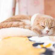 ヒメ日記 2025/04/26 01:36 投稿 ゆきの 性腺熟女100％（デリヘル市場）