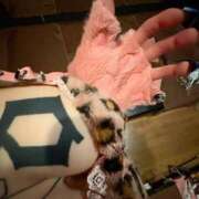 ヒメ日記 2025/02/28 03:04 投稿 LOVE GINGIRA☆TOKYO～ギンギラ東京～