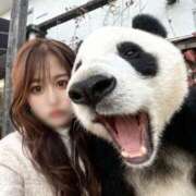 ヒメ日記 2025/11/16 13:51 投稿 えりな ラブリップ川越