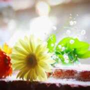 ヒメ日記 2025/02/24 01:40 投稿 ゆきの 性腺熟女100％鶯谷（デリヘル市場）