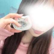 ヒメ日記 2026/02/25 12:14 投稿 ネネ バニーコレクション秋田店