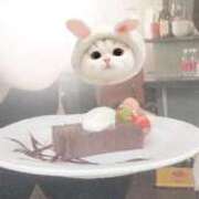 ヒメ日記 2026/09/30 12:03 投稿 ネネ バニーコレクション秋田店