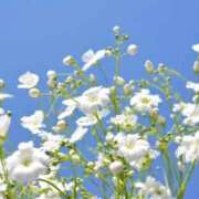 ヒメ日記 2025/10/02 12:48 投稿 ☆かのん☆ ◆プラウディア◆AAA級素人娘在籍店