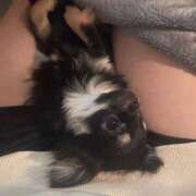 ヒメ日記 2025/06/16 01:24 投稿 ゆき E+アイドルスクール新宿・歌舞伎町店