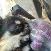 ヒメ日記 2025/06/16 20:14 投稿 ゆき E+アイドルスクール新宿・歌舞伎町店