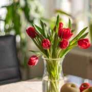 ヒメ日記 2025/03/07 21:29 投稿 ともみ 完熟ばなな札幌・すすきの