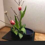 ヒメ日記 2025/03/30 23:59 投稿 ともみ 完熟ばなな札幌・すすきの