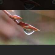 ヒメ日記 2025/04/14 01:39 投稿 ともみ 完熟ばなな札幌・すすきの