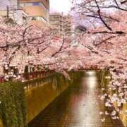 ヒメ日記 2025/04/21 06:49 投稿 ともみ 完熟ばなな札幌・すすきの