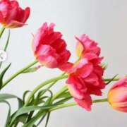 ヒメ日記 2025/05/03 21:44 投稿 ともみ 完熟ばなな札幌・すすきの