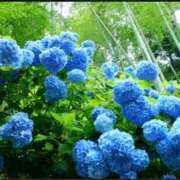 ヒメ日記 2025/05/28 09:19 投稿 ともみ 完熟ばなな札幌・すすきの