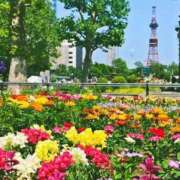 ヒメ日記 2025/06/03 14:09 投稿 ともみ 完熟ばなな札幌・すすきの