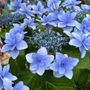 ヒメ日記 2025/07/22 11:49 投稿 ともみ 完熟ばなな札幌・すすきの