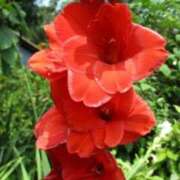 ヒメ日記 2025/07/22 18:15 投稿 ともみ 完熟ばなな札幌・すすきの