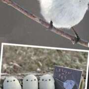 ヒメ日記 2025/08/05 07:49 投稿 ともみ 完熟ばなな札幌・すすきの