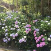 ヒメ日記 2025/08/21 16:09 投稿 ともみ 完熟ばなな札幌・すすきの