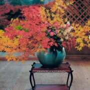 ヒメ日記 2025/10/26 11:49 投稿 ともみ 完熟ばなな札幌・すすきの