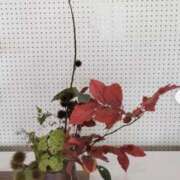 ヒメ日記 2025/10/26 11:56 投稿 ともみ 完熟ばなな札幌・すすきの