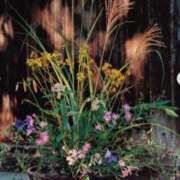 ヒメ日記 2025/10/26 12:09 投稿 ともみ 完熟ばなな札幌・すすきの