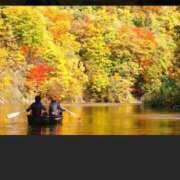 ともみ 11月9日のお礼です✨ 完熟ばなな札幌・すすきの