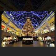 ヒメ日記 2025/12/07 11:49 投稿 ともみ 完熟ばなな札幌・すすきの