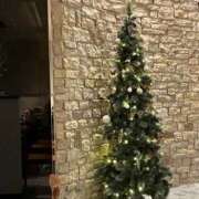 ヒメ日記 2025/12/07 12:12 投稿 ともみ 完熟ばなな札幌・すすきの