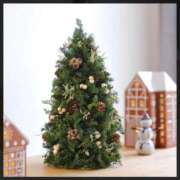 ヒメ日記 2025/12/21 15:09 投稿 ともみ 完熟ばなな札幌・すすきの