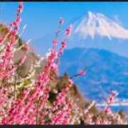 ヒメ日記 2025/12/28 11:58 投稿 ともみ 完熟ばなな札幌・すすきの