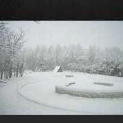 ヒメ日記 2026/01/18 14:28 投稿 ともみ 完熟ばなな札幌・すすきの