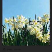 ヒメ日記 2026/04/08 07:39 投稿 ともみ 完熟ばなな札幌・すすきの
