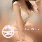 ヒメ日記 2025/07/04 13:14 投稿 このは The White