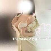 ヒメ日記 2025/07/14 15:15 投稿 このは The White
