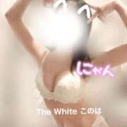 ヒメ日記 2025/07/31 00:42 投稿 このは The White