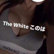 ヒメ日記 2025/08/17 10:25 投稿 このは The White