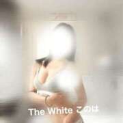 ヒメ日記 2025/08/21 11:50 投稿 このは The White