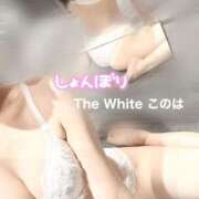 ヒメ日記 2025/09/17 16:38 投稿 このは The White