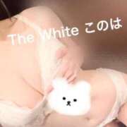 ヒメ日記 2025/10/04 22:16 投稿 このは The White