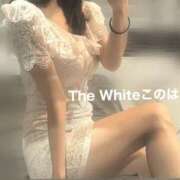 ヒメ日記 2025/12/13 17:54 投稿 このは The White