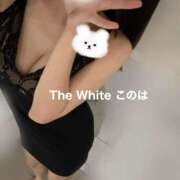 ヒメ日記 2026/01/02 07:01 投稿 このは The White