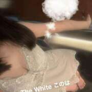ヒメ日記 2026/02/06 23:34 投稿 このは The White