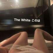 このは 3月のお礼💌 The White