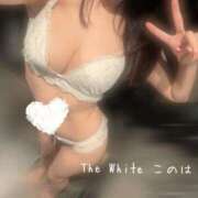 このは 5月前半も🐾໊ The White