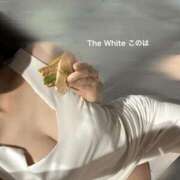 ヒメ日記 2026/06/24 17:59 投稿 このは The White