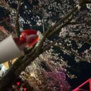 ヒメ日記 2025/04/09 18:13 投稿 ゆずき sexis小山佐野店