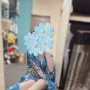 ヒメ日記 2025/07/15 08:54 投稿 そのか いざ候 別館