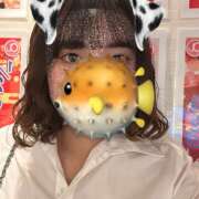 ヒメ日記 2025/01/31 20:09 投稿 りこ an_an（アンアン）