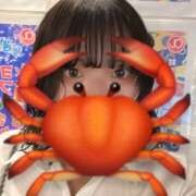 ヒメ日記 2025/05/23 17:55 投稿 りこ an_an（アンアン）