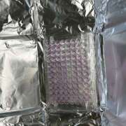 ヒメ日記 2025/06/13 17:52 投稿 りこ an_an（アンアン）